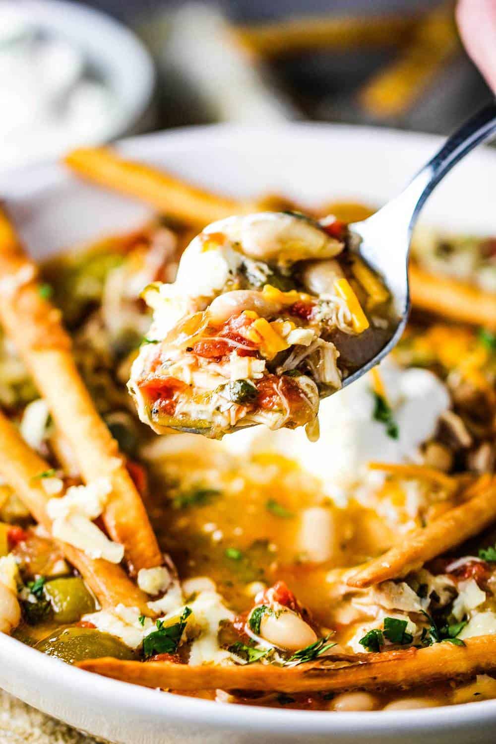 A spoonful of white Chile with roasted tomatillos and chicken