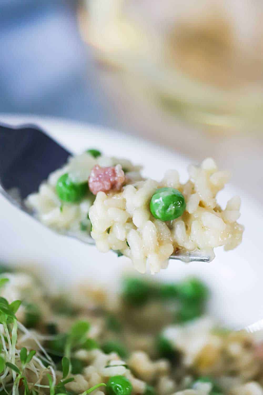 A fork being held up with risi e bisi on it.