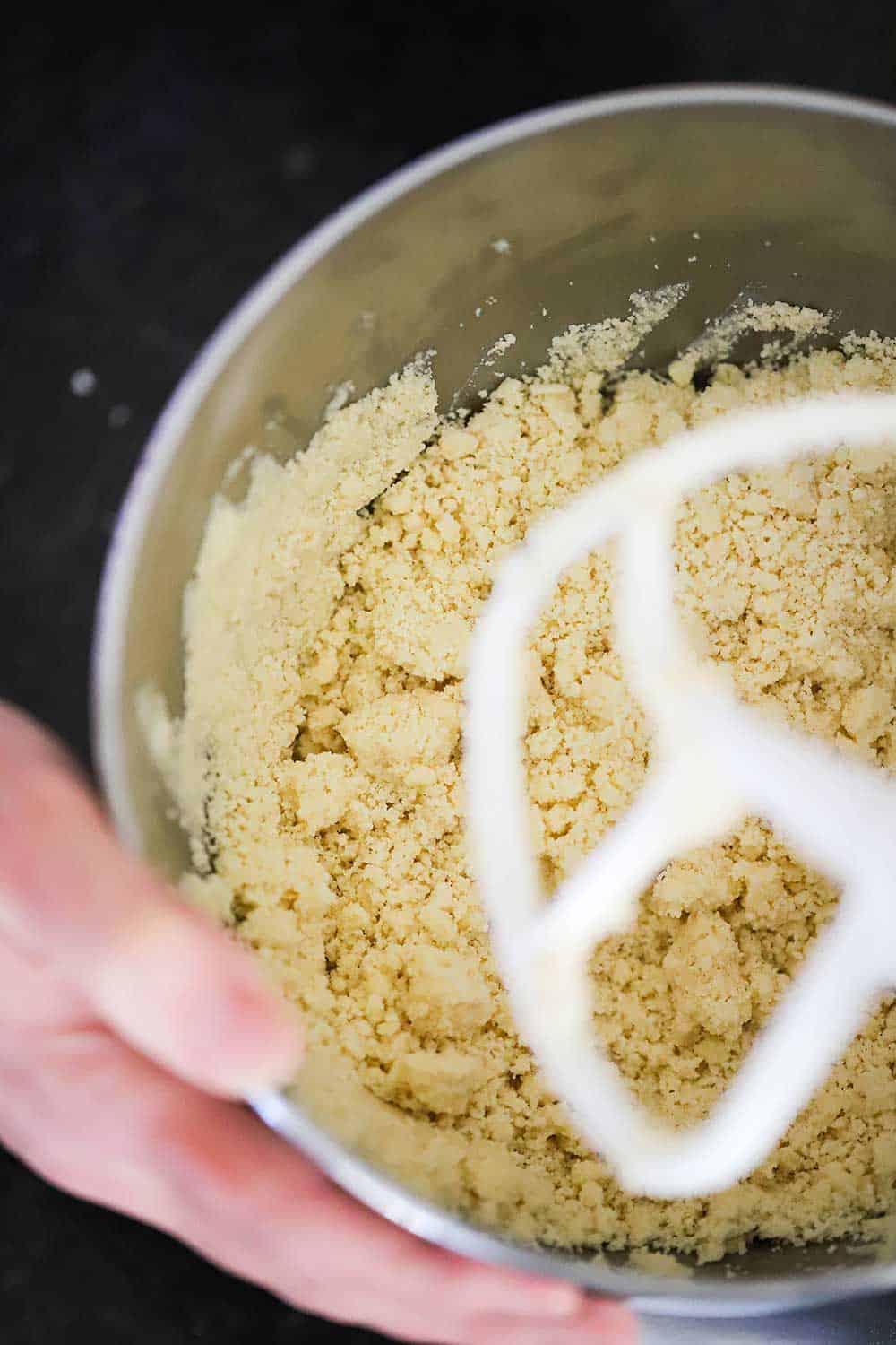 A stand mixer bowl filled with a crumbly dough of soft butter, sugar, and flour.