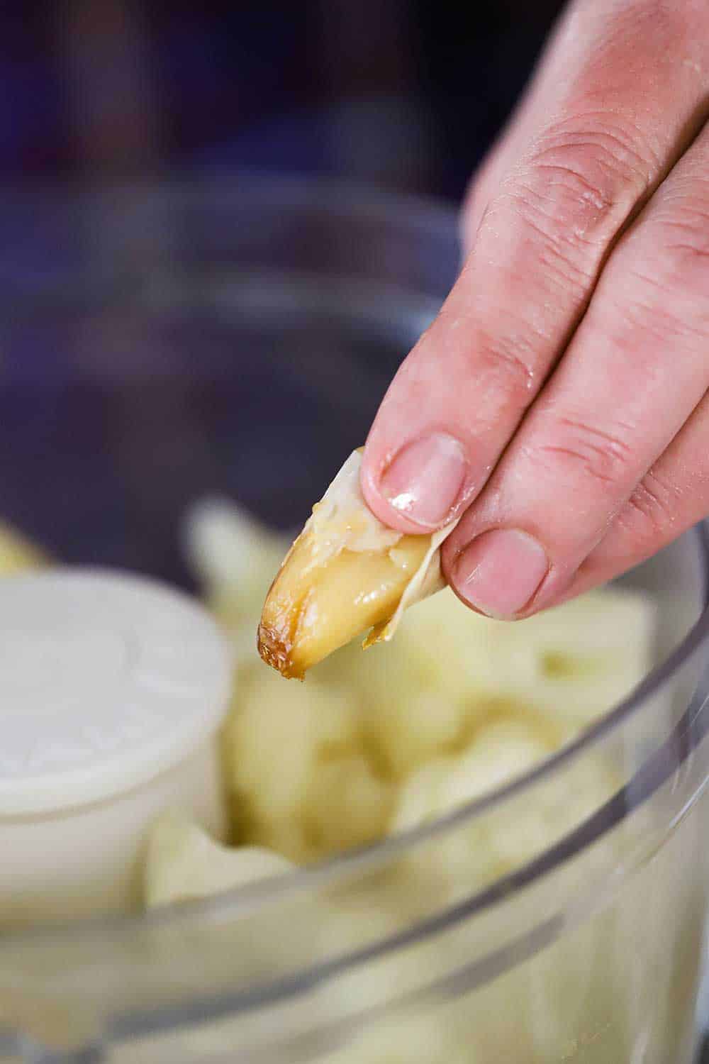 A hand squeezing the inside of a roasted garlic clove into a food processor filled with steamed cauliflower.