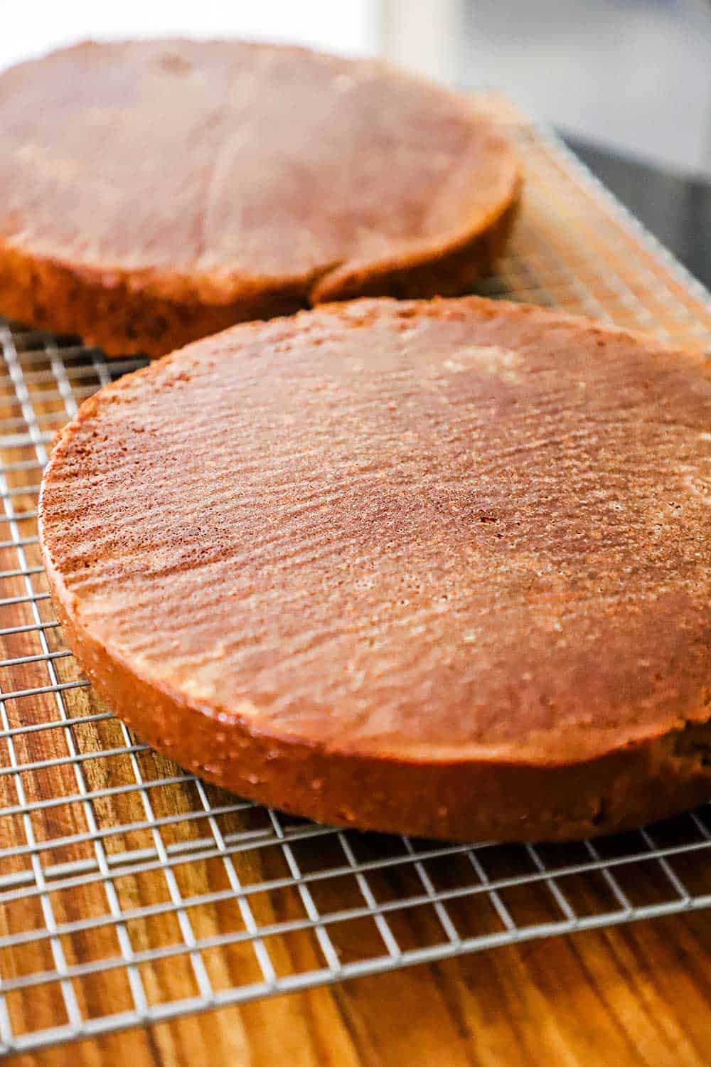 Two circular chocolate cakes cooling on a wire baking rack.