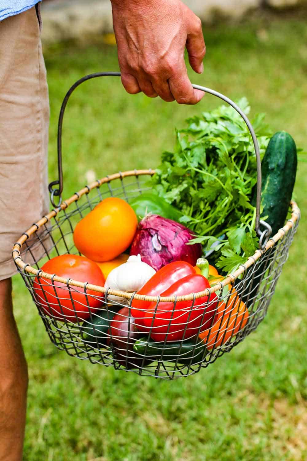 Seek out produce from a farmer's market and place in a basket.