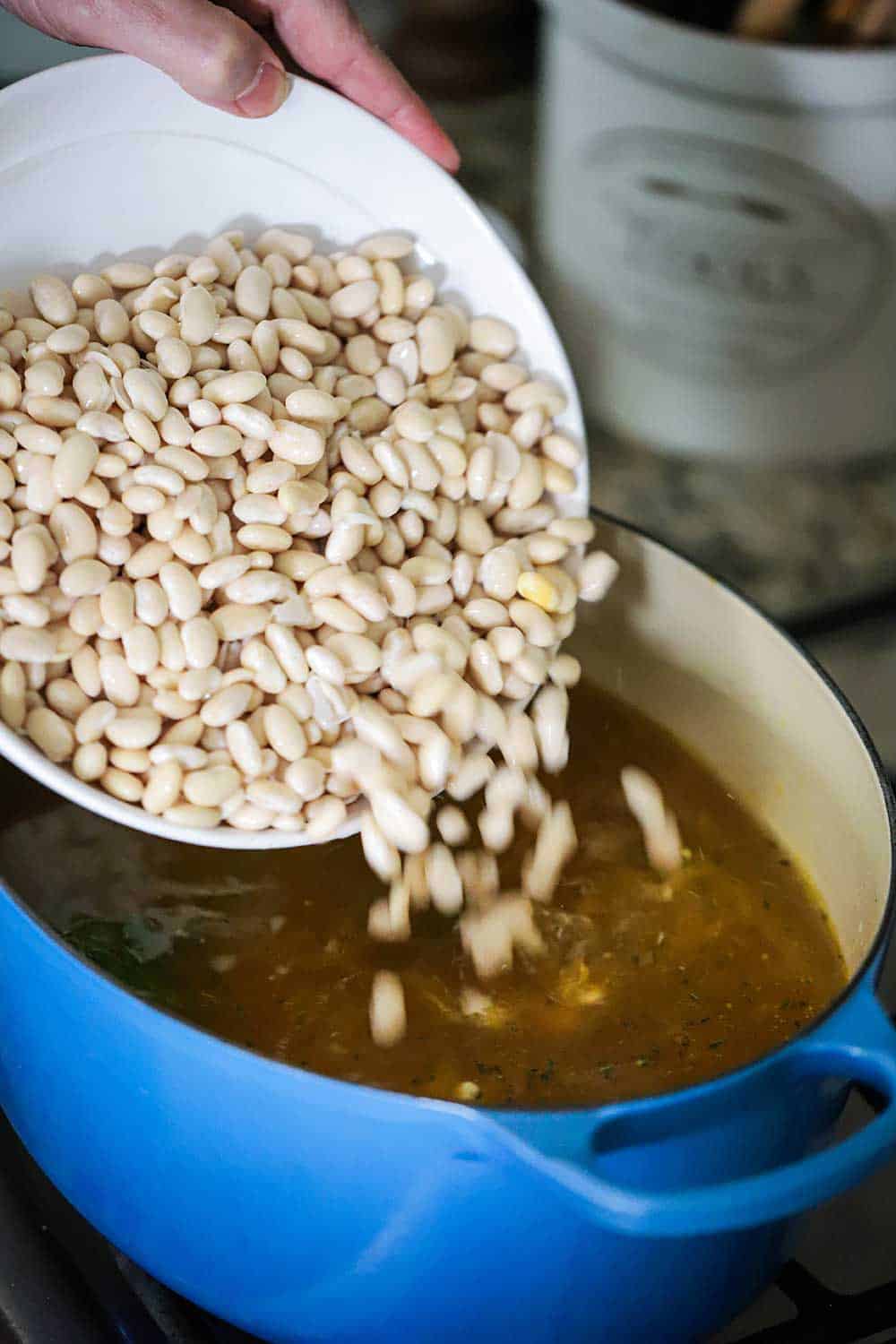 A bowl of white beans being dumped into a blue Dutch oven filled with chicken broth, ham, and vegetables.