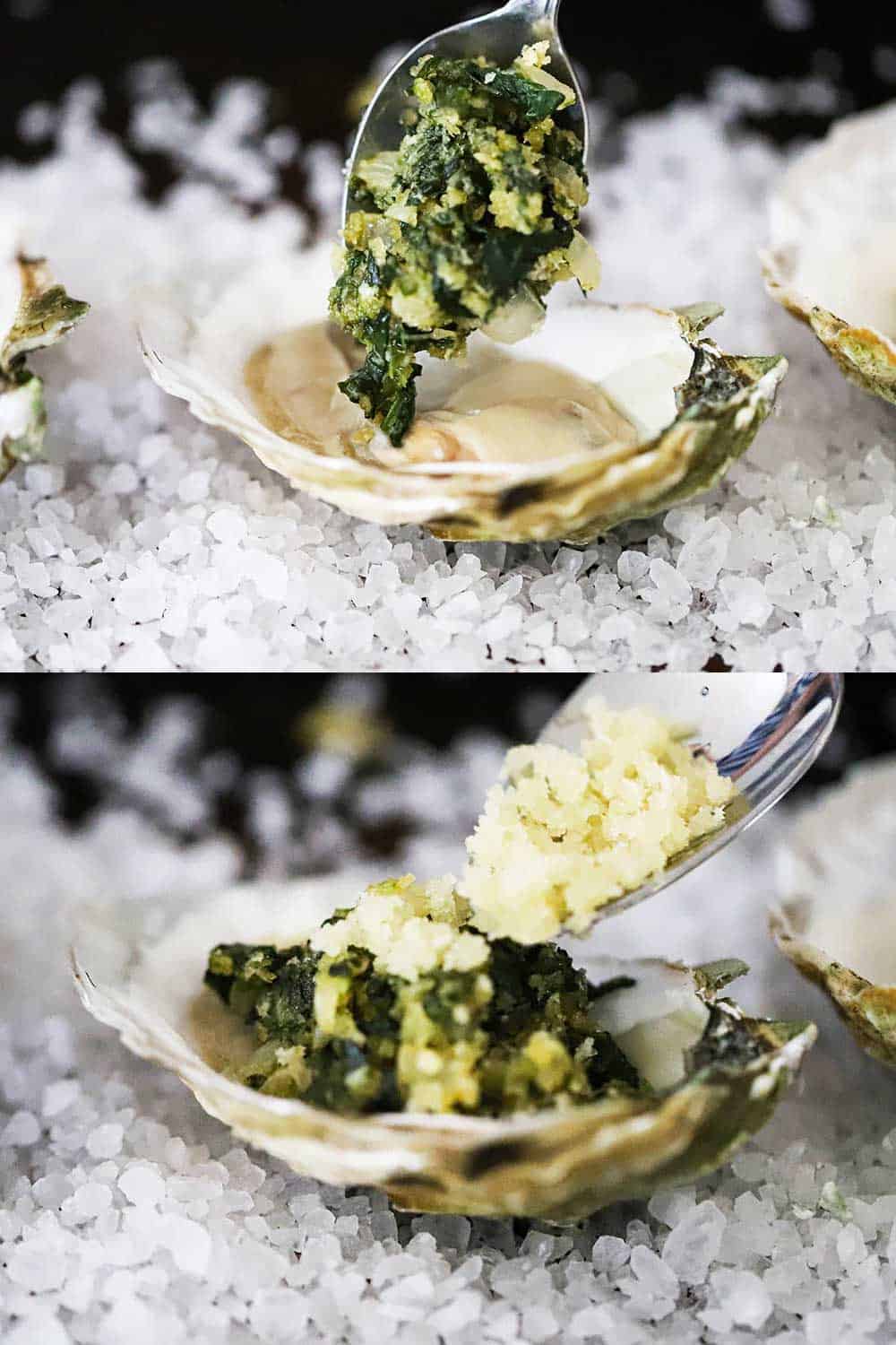 A spoon transferring a spinach mixture on top of an oyster in a shell, and then breadcrumbs being sprinkled on top.