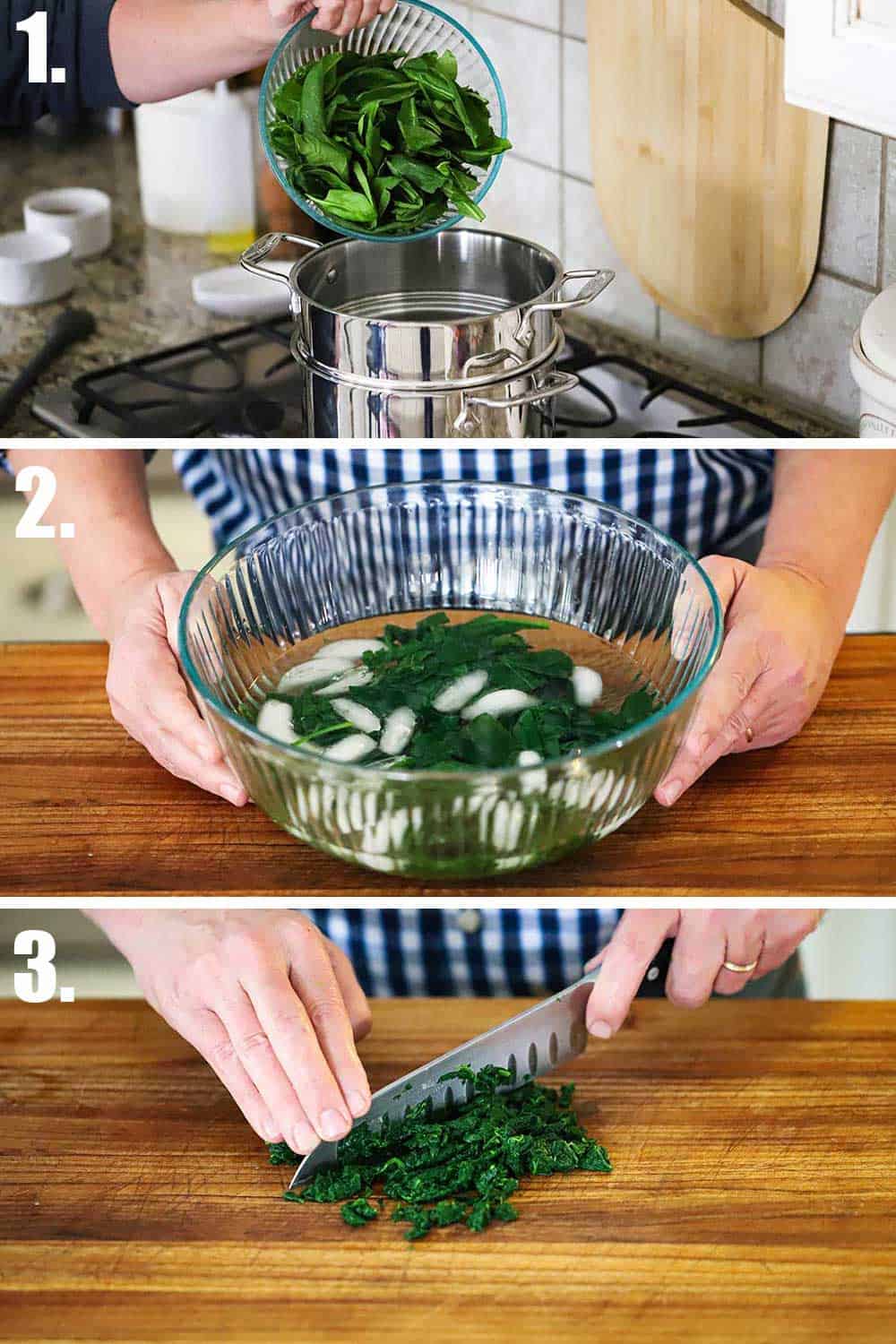 Fresh spinach being dropped into boiling water, and then transferred to an ice batch, and then roughly chopped.