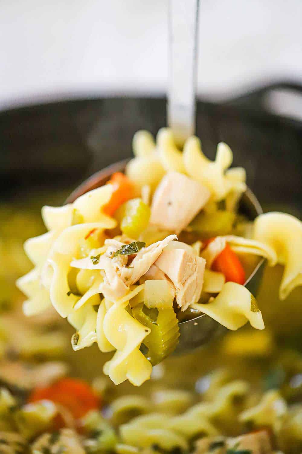 A large ladle filled with homemade chicken noodle soup.