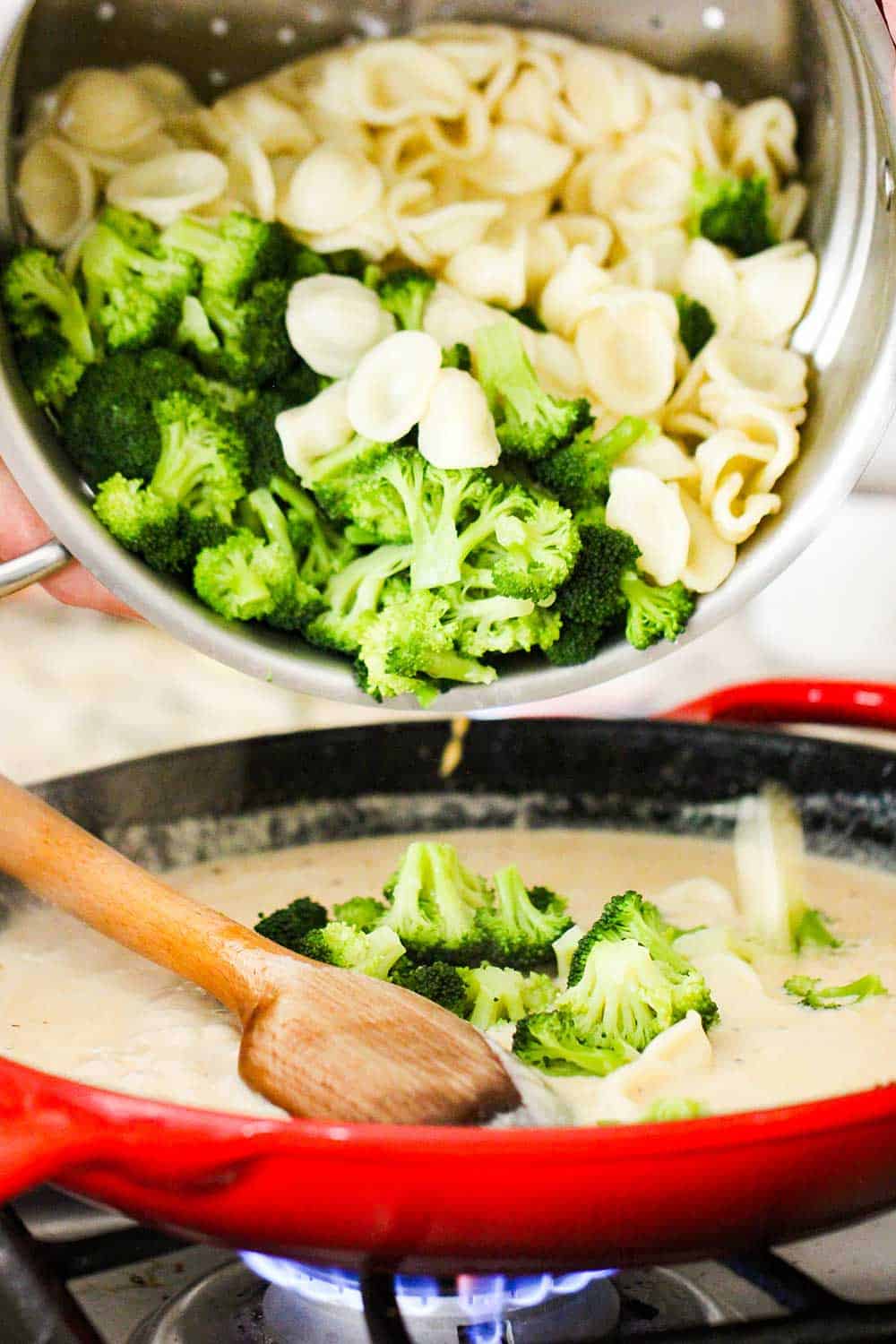 A pot full of cooked pasta shells and broccoli florets being transferred into a skillet with alfredo sauce.