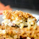 A spoonful of Mac and Cheese with Roasted Cauliflower and Smoked Bacon in a white dish