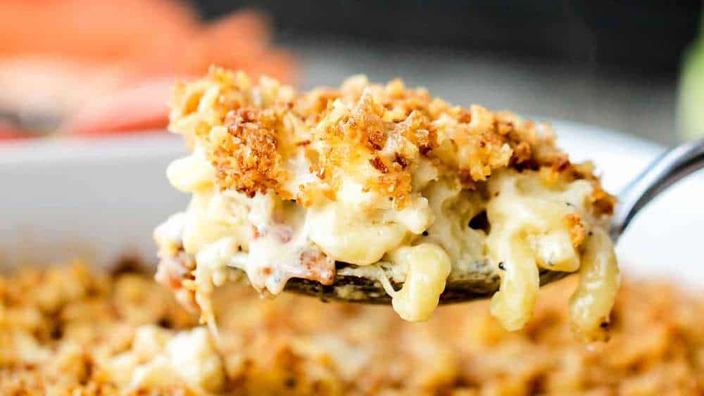 A spoonful of Mac and Cheese with Roasted Cauliflower and Smoked Bacon in a white dish