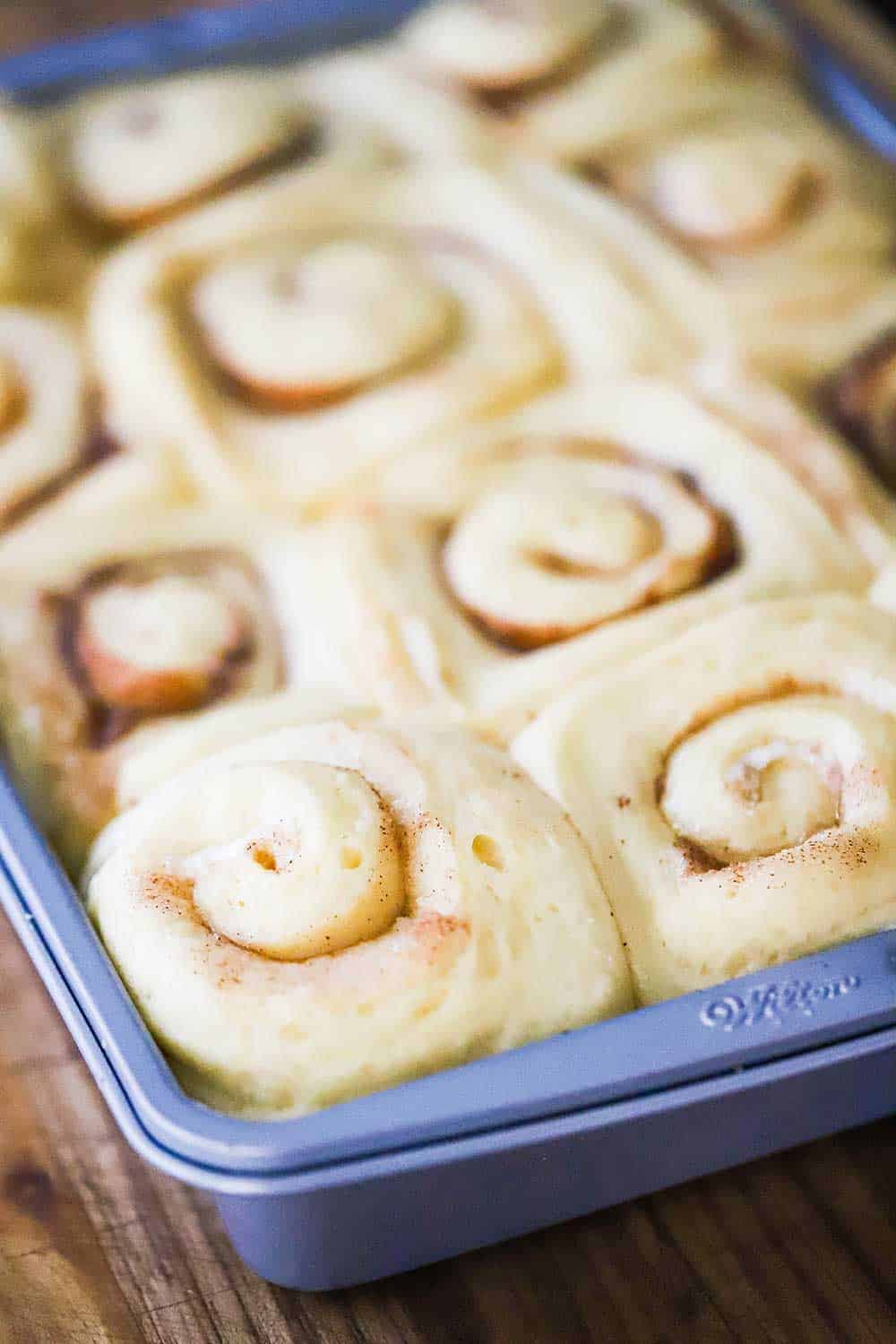A metal baking pan filled with uncooked cinnamon rolls that have risen from a second round of proofing.