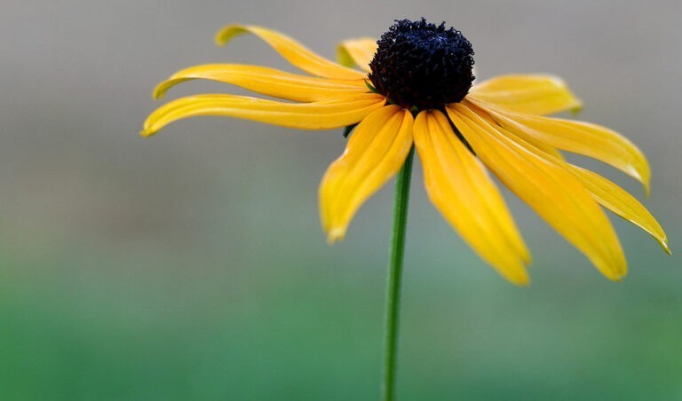 Pohyb může i bolet