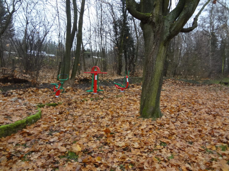 Sportovně-relaxačně-odpočinková plocha, Hořice