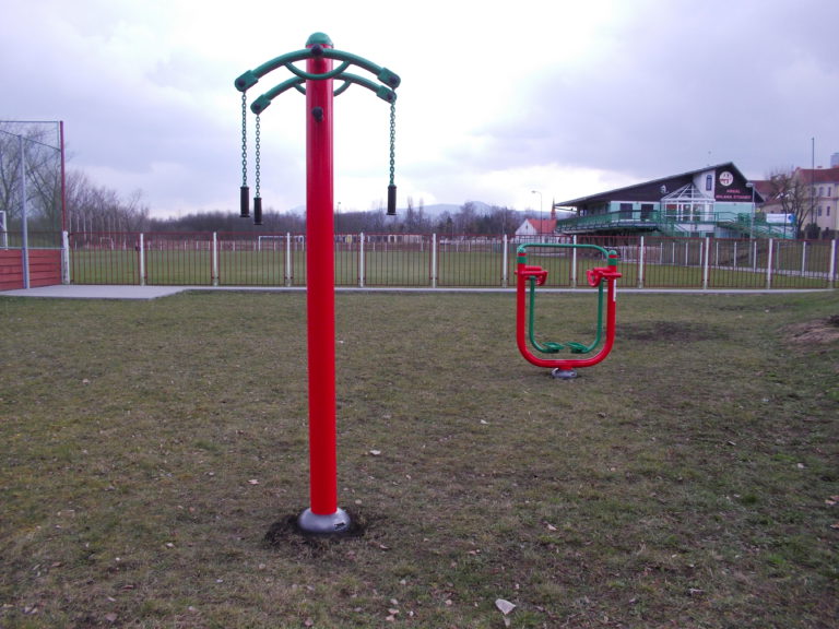 Venkovní fitness stroje, Ledvice