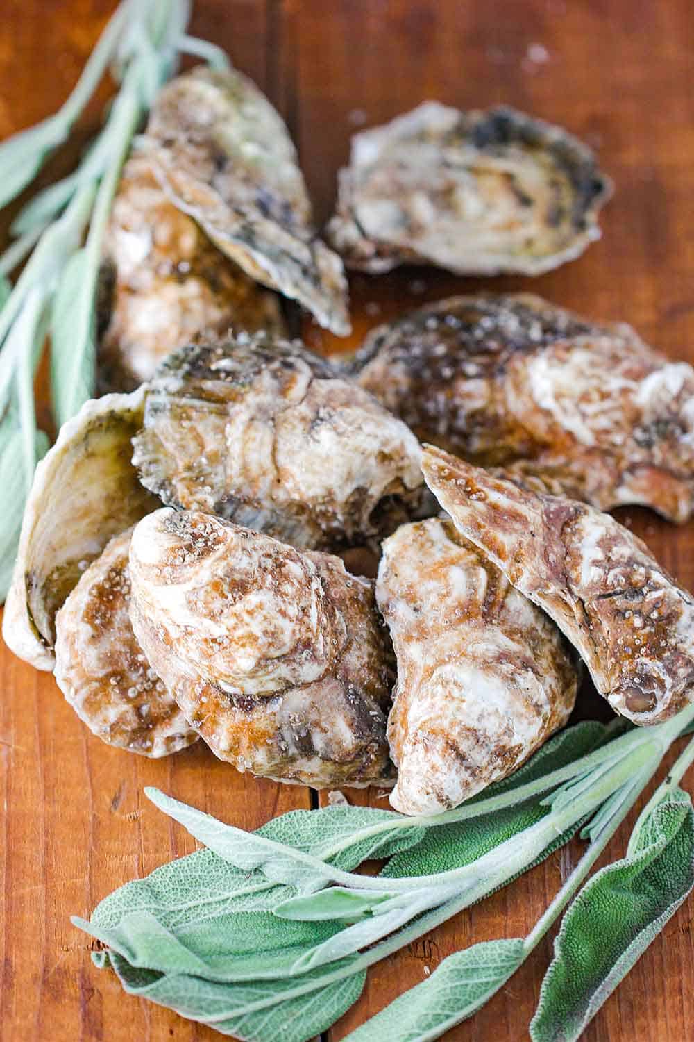 Fresh oysters and sage leaves on a wooden bench.