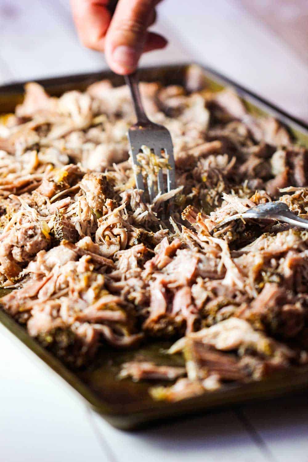 Use two forks to shred the cooked pork apart for carnitas tacos.