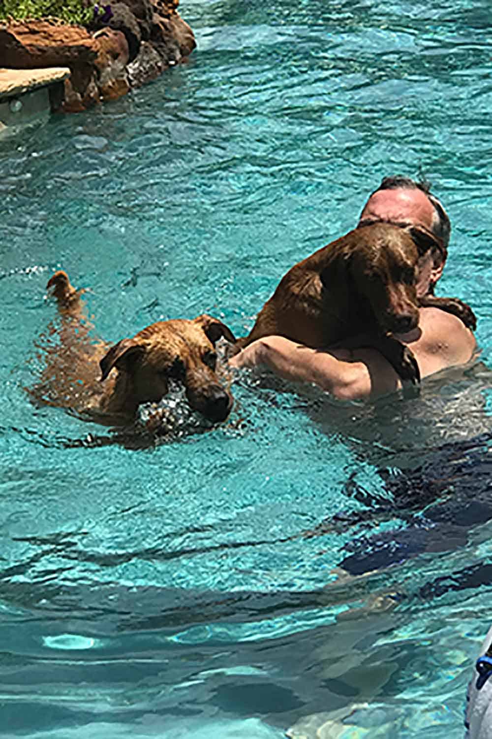 Keep an active lifestyle, like swimming with your pets.