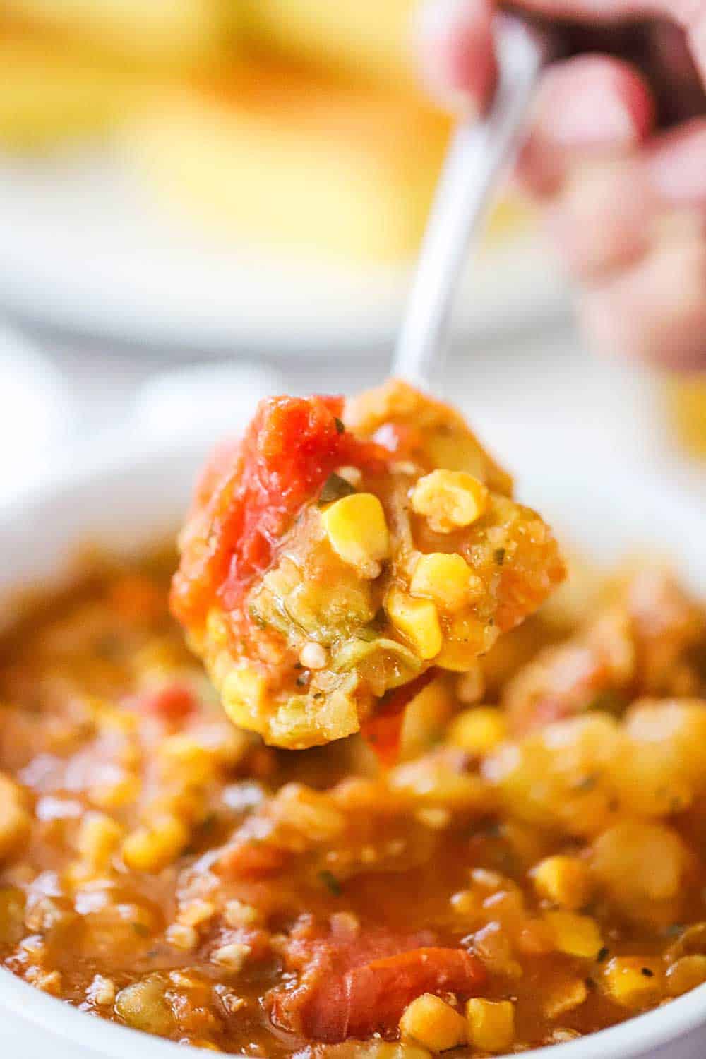 A hand holding us a spoonful of Brunswick stew above a bowl of the same.
