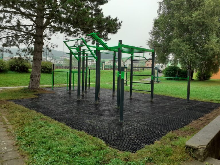 Street workout, Zubří