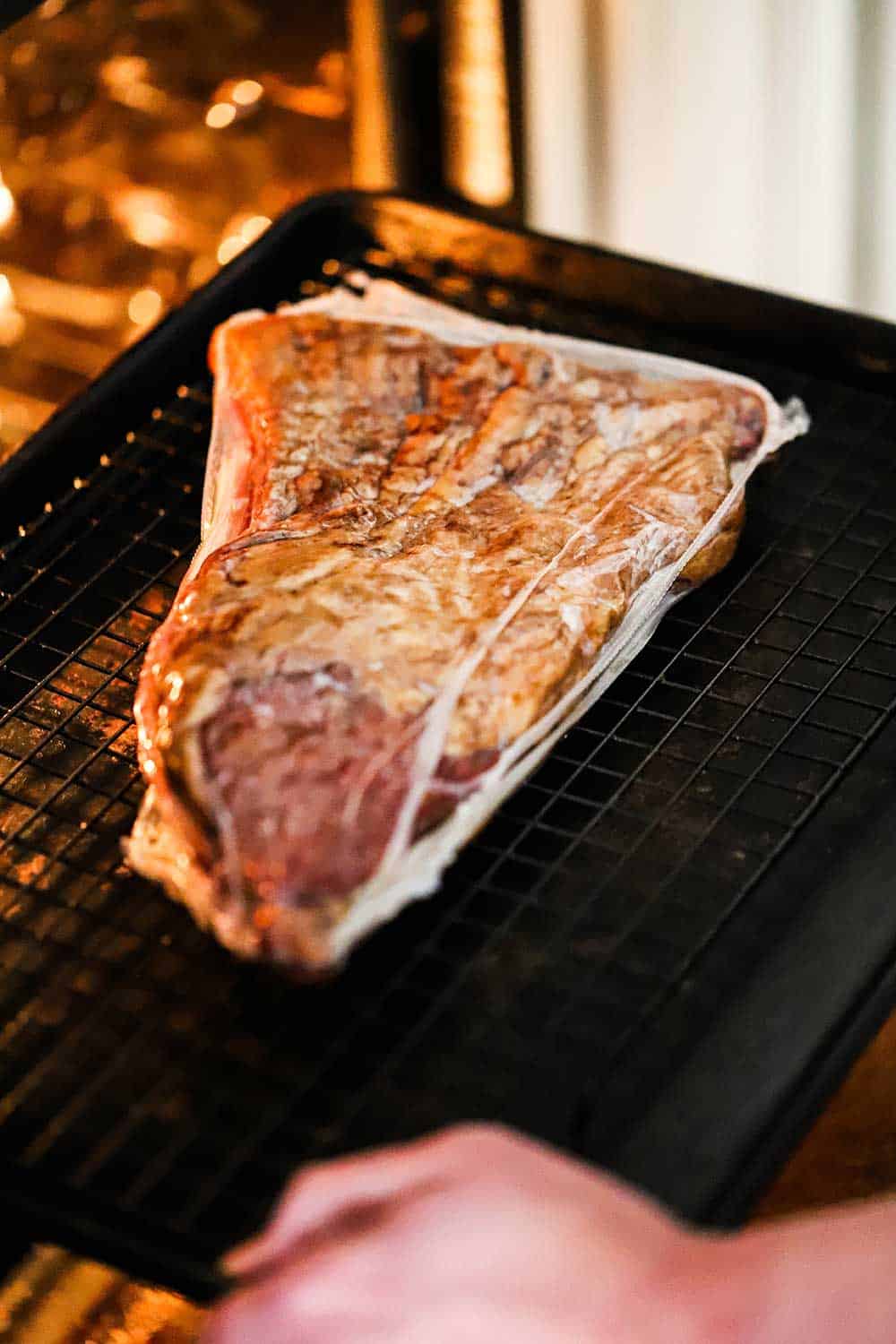 A vacuum-packed package of Wagyu boneless short ribs on a baking sheet being placed into a preheated oven.