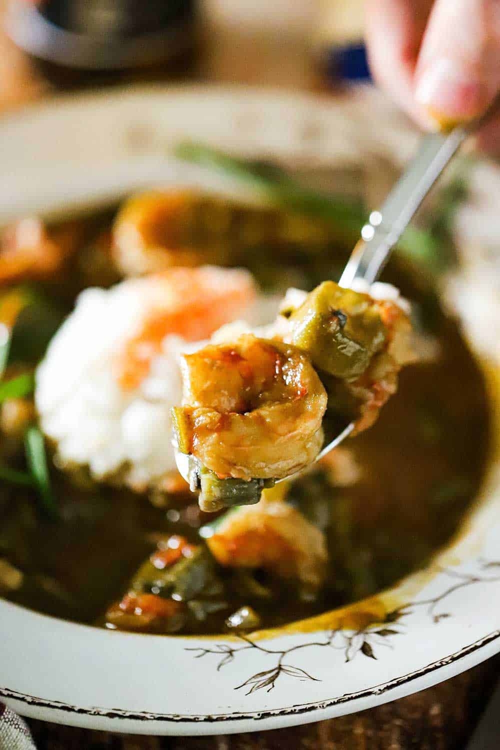 A spoon being held up holding a helping of shrimp and okra gumbo over a bowl of the same.