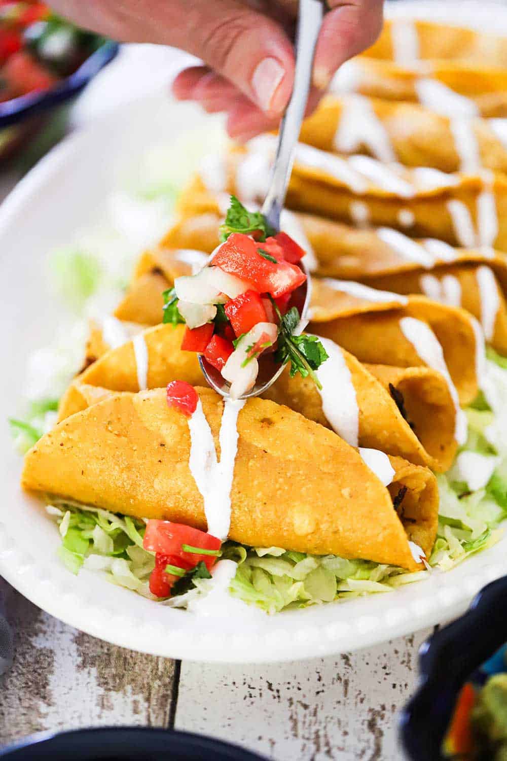 A person spooning fresh pico de gallo down the center of a line of chicken flautas on a platter lined with shredded lettuce.