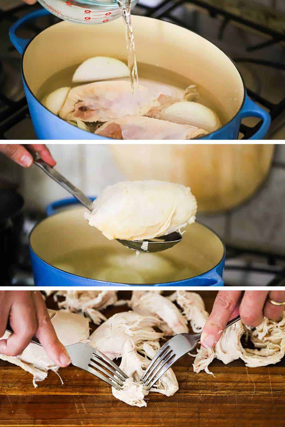 An oval blue Dutch oven filled with 2 skin-on chicken breasts being filled with water, and then the cooked breasts being removed, and then the meat shredded with two forks.