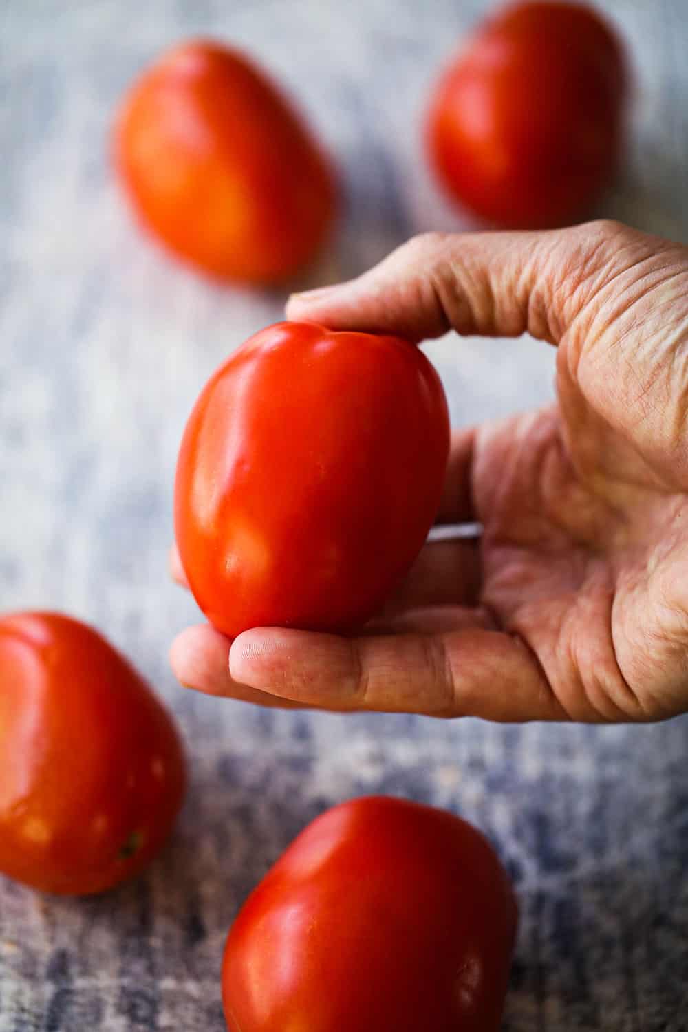 A hand holding a ripe roma tomato above a scattering of other roma tomatoes.