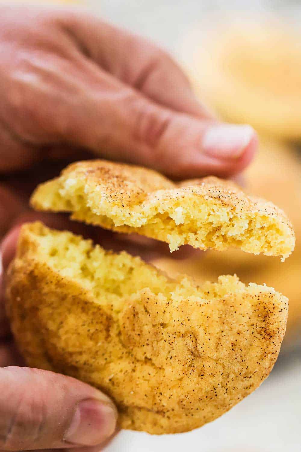 A person splitting a freshly baked snickerdoodle cookie in half.
