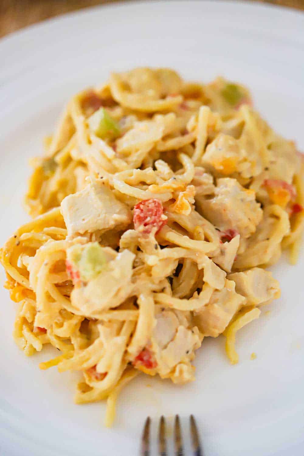 A white dinner plate filled with a large helping of chicken spaghetti.