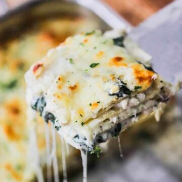 A metal spatula lifting up a slice of white chicken lasagna from a lasagna pan.