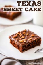 A perfectly square piece of chocolate sheet cake topped with chopped pecans sitting on a white dessert plate.