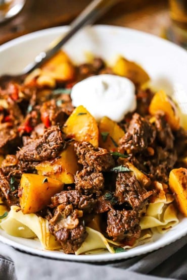 A close-up view of a white bowl filled with Hungarian goulash over egg noodles and topped with a dollop of sour cream.