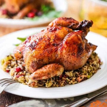 A straight-on view of a glazed Cornish hen sitting on a bed of wild rice pilaf all on a white dinner plate with a fork nearby.