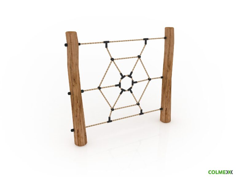 DH08AM49 Acacia Spider