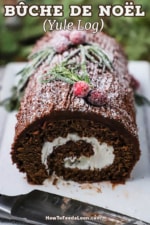 A close-up view of the end of a yule log with the interior circular chocolate sponge cake the envelopes a white filling an is topped with chocolate frosting and powdered sugar.