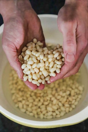A person's two hands holding dried navy beans over a bowl of the beans in water.