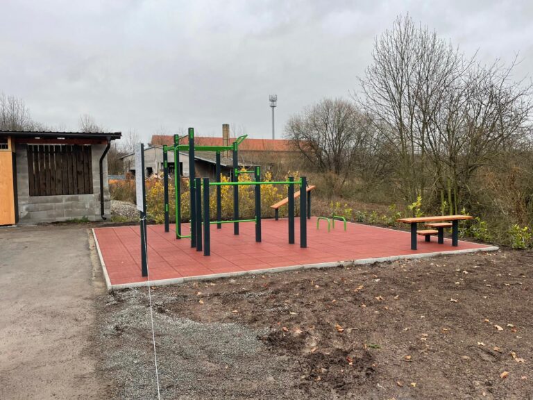 Street workout, Vitice