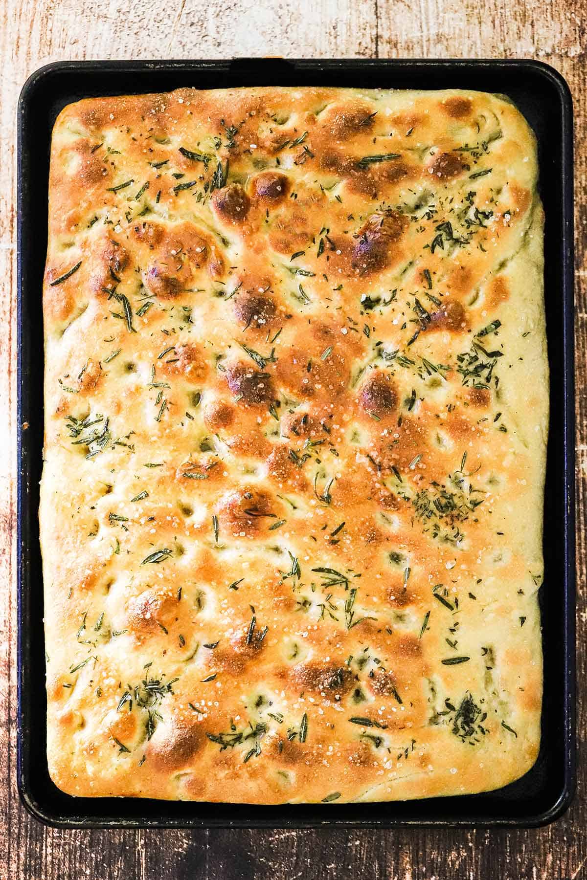 An untouched loaf of focaccia with rosemary and olive oil resting in baking sheet pan.