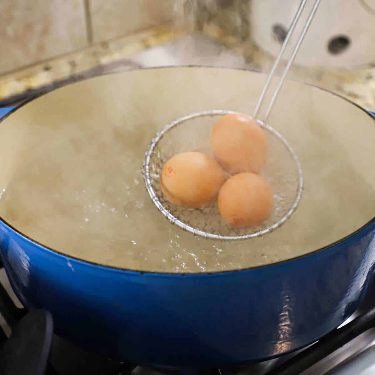 A person using a wire spider to place three brown eggs into a Dutch oven filled with boiling water.