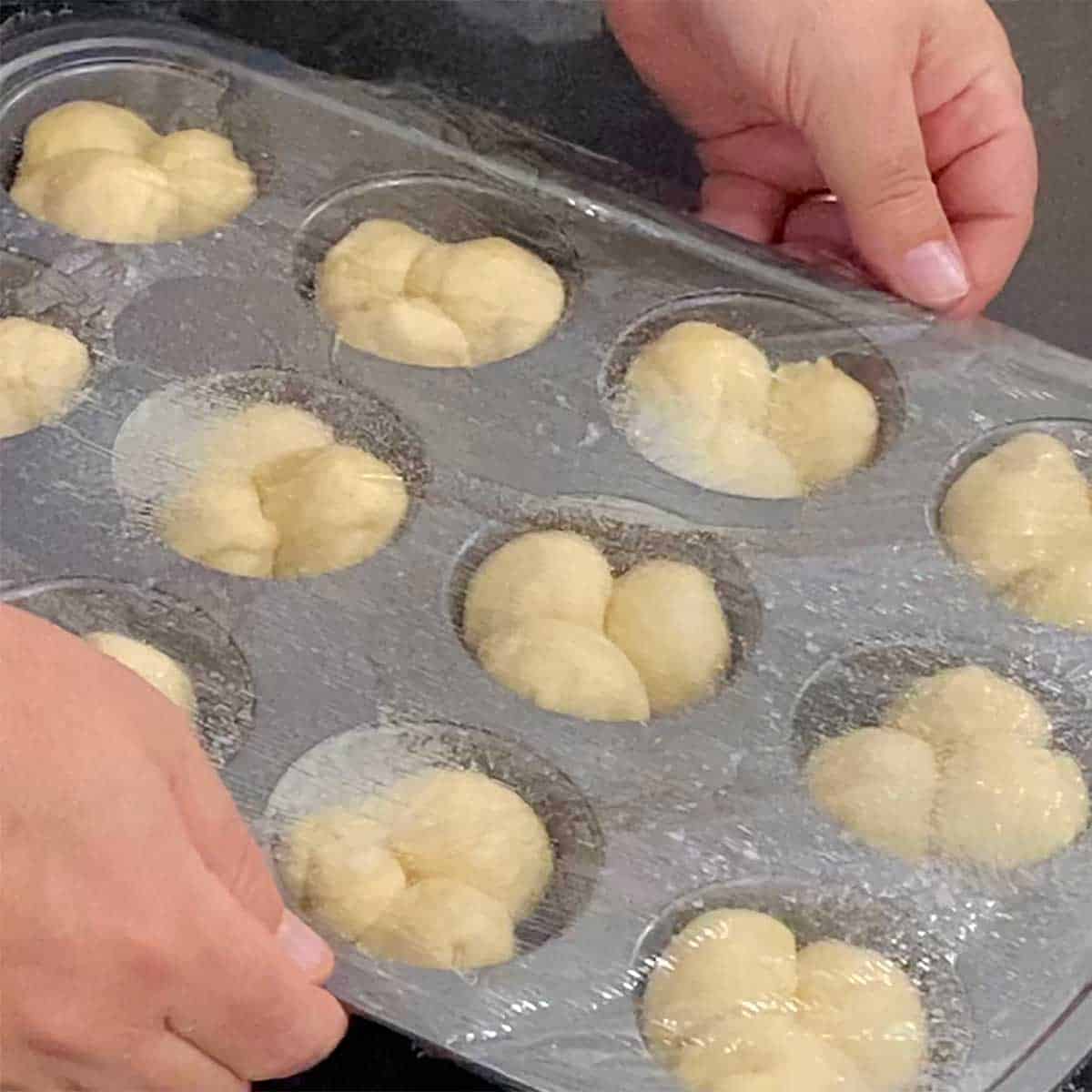 A person placing plastic wrap over a muffin tin that is filled with pieces of dough for cloverleaf dinner rolls.
