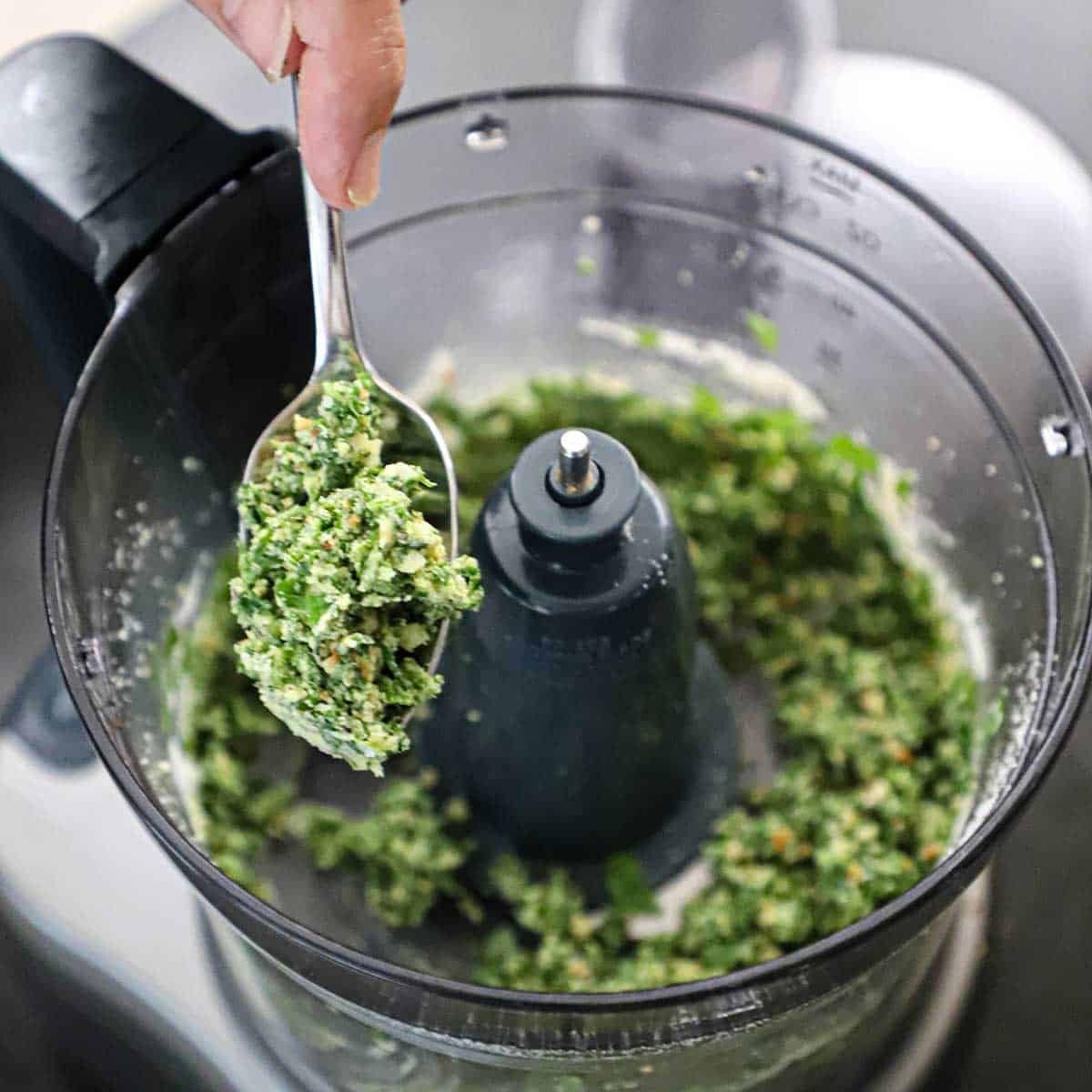 A person holding a spoonful of chopped basil, pine nuts, and garlic over a food processor.