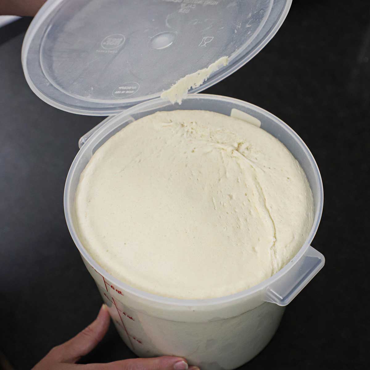 A 6-quart plastic dough container that has bread dough that has risen to the top of the container with a person holding the lid off to the side.