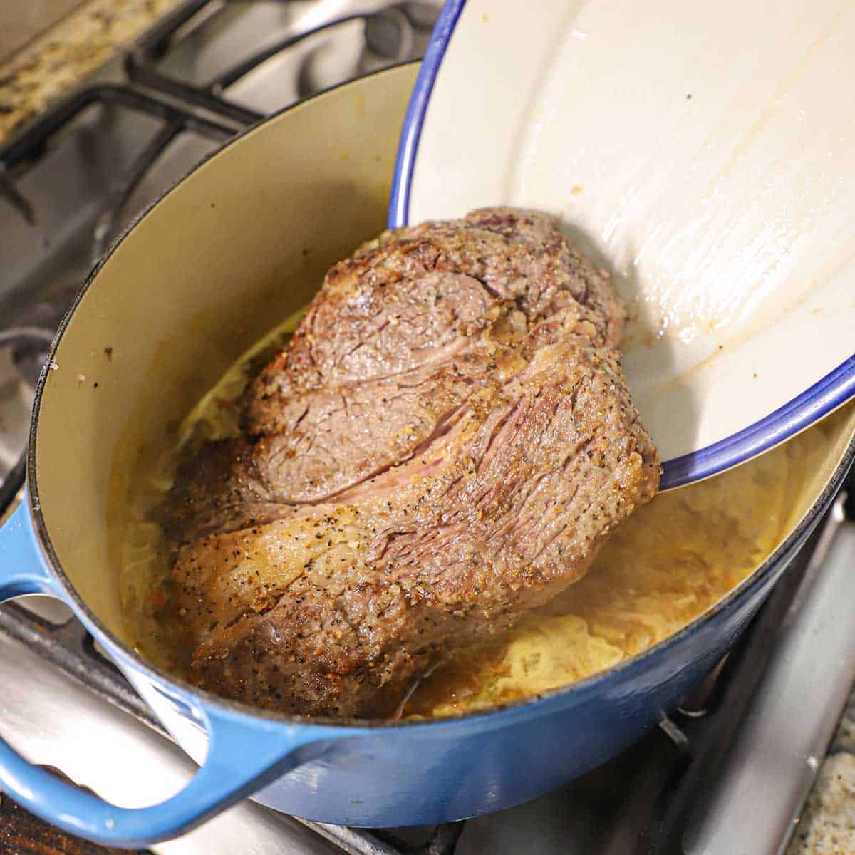 A person transferring a seared and partially cooked chuck roast into a large Dutch oven on a gas stove.