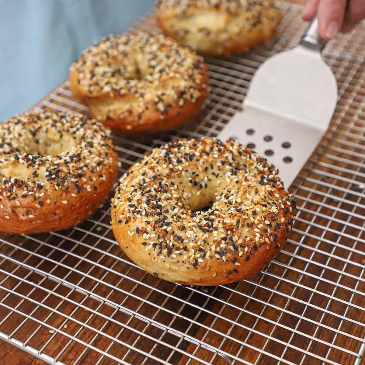 A person placing a freshly baked homemade everything bagel onto a baking rack topped with three other freshly baked everything bagels.