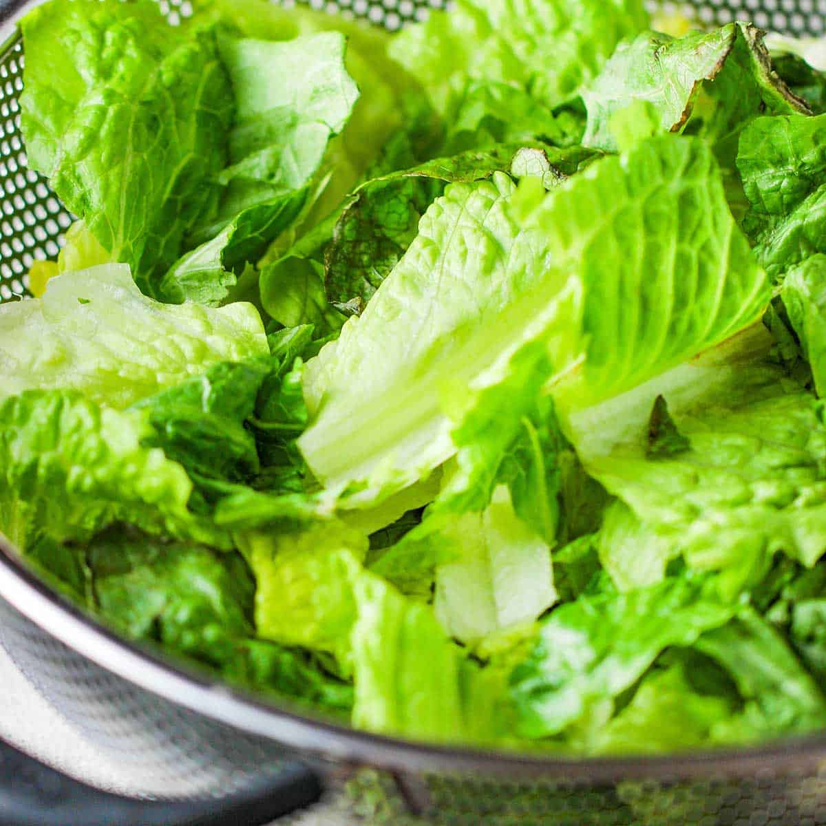 Torn pieces of romaine lettuce resting in a metal colander.