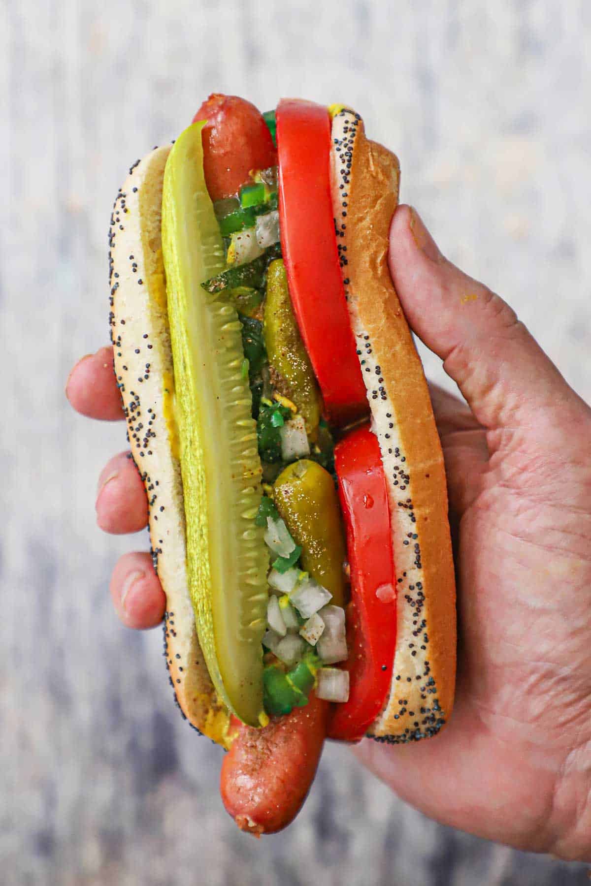 A person holding a Chicago-style hot dog in his hand with a pickle spear, relish, onions, sport peppers, and tomato wedges nestled around the dog inside the poppyseed bun.