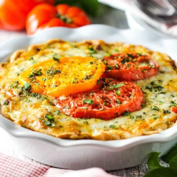 A close-up view of a tomato pie in a white ceramic pie dish with three colorful baked heirloom tomato slices on top with chopped parsley sprinkled on the surface of the pie.