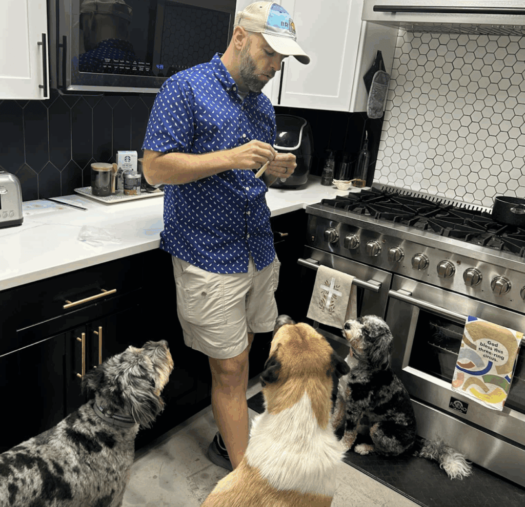 pet sitting updates pictures