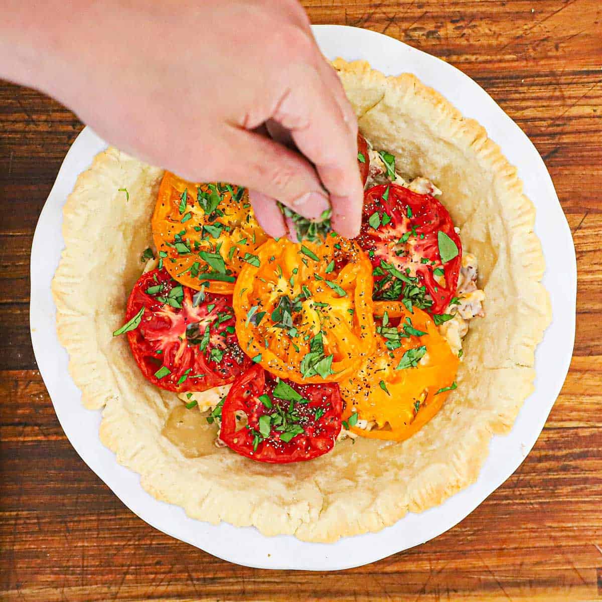 A person sprinkling chopped fresh herbs over the tops of sliced heirloom tomatoes that are resting on a cheese and mayonnaise mixture in a partially baked pie crust in a pie dish.