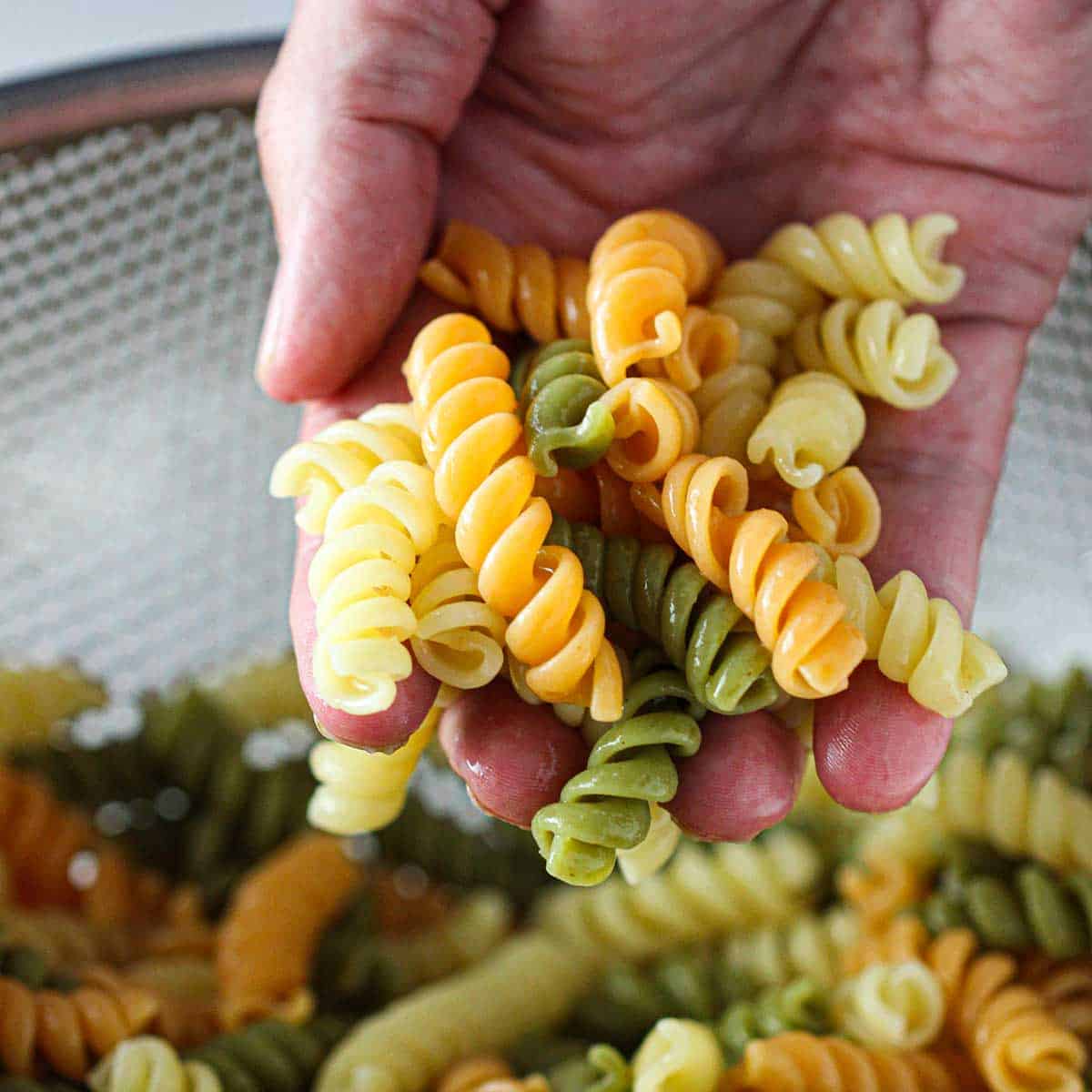 A person holding cooked tricolor rotini pasta that is fully cooked and has cooled.